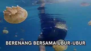 Danau Tersembunyi Penuh Ubur-ubur (Sulawesi Tenggara #4)