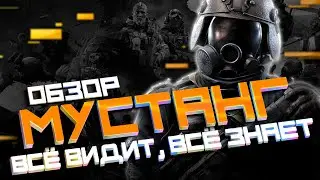 МУСТАНГ | ОБЗОР-ГАЙД ОПЕРАТИВНИКА | ВСЁ ВИДИТ, ВСЁ ЗНАЕТ | 2021