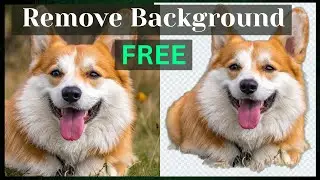 FREE AI background remover (BEST so far)