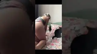 Bigo live  hot 2 kedi yatakta oynuyor :)