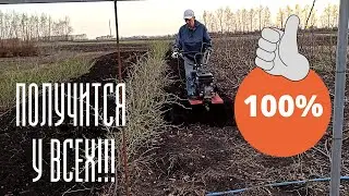 Это надежный способ размножения крыжовника! Получится у всех 100%!!