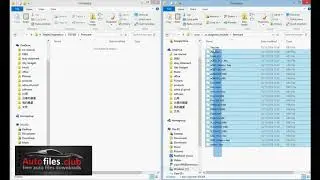 How to copy Wurth Wow firmware to Autocom and Delphi CDP