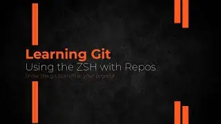 Using ZSH with Git