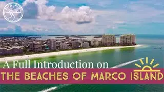 All About the Marco Island Beaches: A Full Introduction