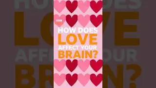 What does being in love do to your brain? ❤ #Shorts #Love #BBCIdeas