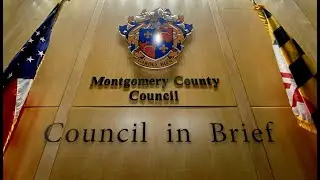 Council in Brief #739