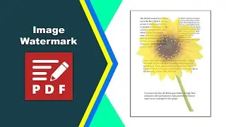 How to create an image watermark in a pdf document in PDF-XChange Editor