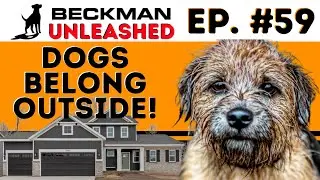 Should Dog's really be Living in your Home? Is that Comfortable Life even Good for them?