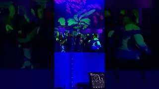 Mydmxgo with Chauvet Intimidator 260 DJ Rideout
