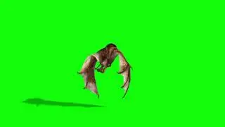 green screen  Bat  new video Bat  attack animatiom  free 4k