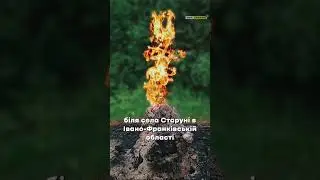 Топ фактів про українські Карпати 🇺🇦🏔️ 