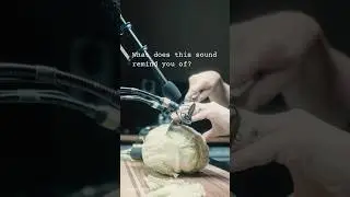 SOUND DESIGN🎧🫑