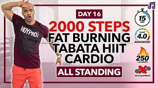 15 MIN Sweaty Tabata Cardio HIIT Freestyle Workout | 2000 Steps Cardio - Day 16