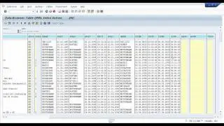 Data element and Domain concept in abap dictionary