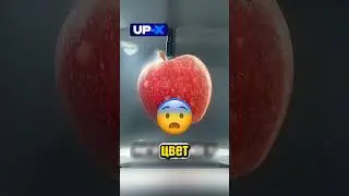 Яблоко в воду на целый ГОД 🍎😱