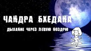 Дыхание через левую ноздрю. Чандра бхедана