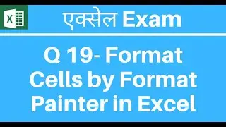 Learn Excel | Format Cells by Using Format Painter in Excel Hindi