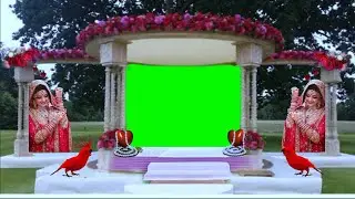 शादी बैकग्राउंड | green screen video | wedding video editing effects