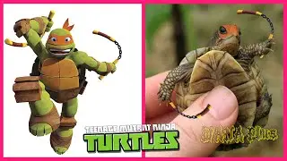 🐢 Teenage Mutant Ninja Turtles In Real Life 💥 All Characters 👉@WANAPlus