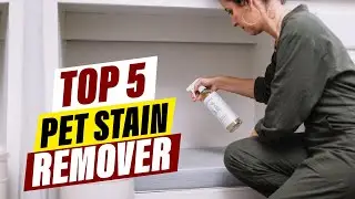 Best Pet Stain Removers: A Comprehensive Comparison