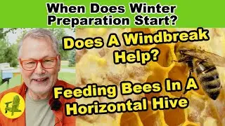 Beekeeping Winter Preparation, Storing Frames, Wasps & More of Your Questions Answered