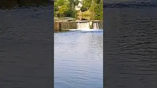 LOW H20! River Raisin waterfall low. #shorts #river #nature #fishing