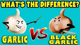 Black vs Regular GARLIC - Whats the difference?