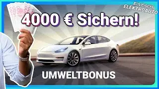 4000 € beim Elektroauto sparen! (Umweltbonus) - Einfach Elektroauto