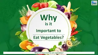 Why is it important to eat vegetables | Health benefits of vegetables