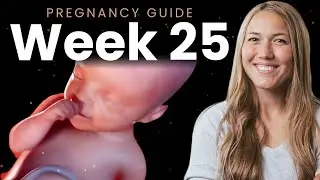 25 Weeks Pregnant | Week By Week Pregnancy