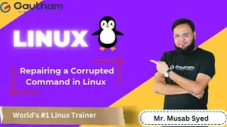 Linux Tutorials - Musab Syed | Repairing a Corrupted Command in Linux  | Linux Tutorials 2024 |Linux