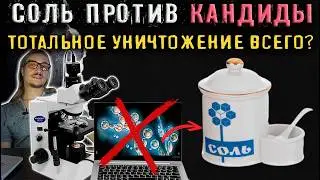 Как Соль борется с агрессивной формой грибка Кандида и биоплёнками?