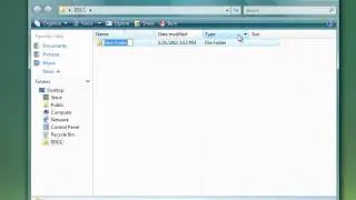 File Organization & Folder Structure