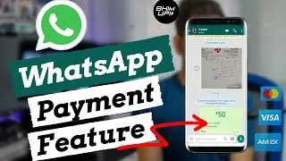 WhatsApp payment feature iOS and Android | how to activate WhatsApp payment option