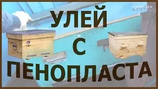 как сделать улей лежак с пенопласта пчеловодство пасека пчелы мед