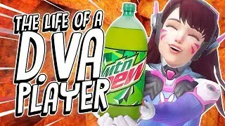 The life of a D.VA player