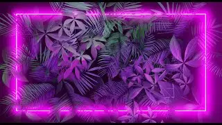 Abstract Purple Green Neon Frame 3D Leaves Animation