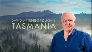 David Attenborough's | Tasmania | Weird and Wonderful