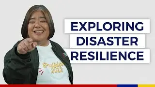 Exploring Disaster Resilience