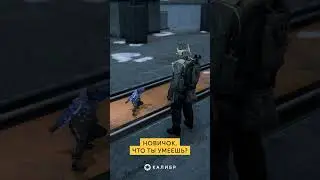 Новичок, что ты умеешь? #калибр_видео #калибр_shorts #калибригра #memes #meme #caliber #gaming