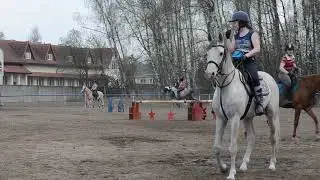 Будни ШВЕ Династия (24.04.2019)