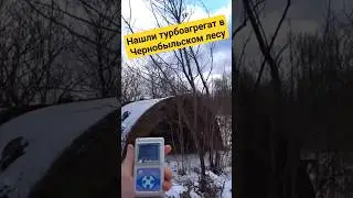 Нашли турбину в Чернобыльском лесу
