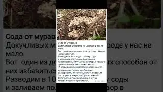 Сода от муравьёв