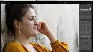 Curso de Lightroom Classic capitulo 45 - El grano en la fotografía