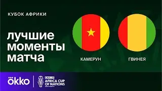 Камерун — Гвинея | Кубок Африки. Обзор матча 1 тура