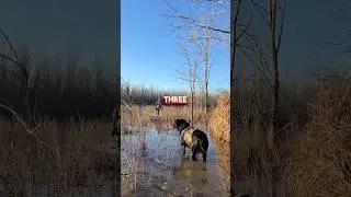 🦞 Crawfish Ponds Are A Hunter’s Paradise