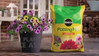 How to Use Miracle-Gro® Potting Mix for Container Gardening