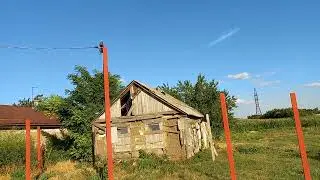 Выбраковка голубей в небе / Culling pigeons in the sky