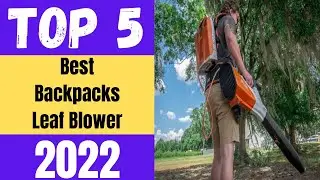 Best Backpack Leaf Blower 2023