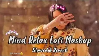 mind relax lofi song😍🎧 mix hindi song mashup✨🎧 #lofimusic #lofisong #lofichill